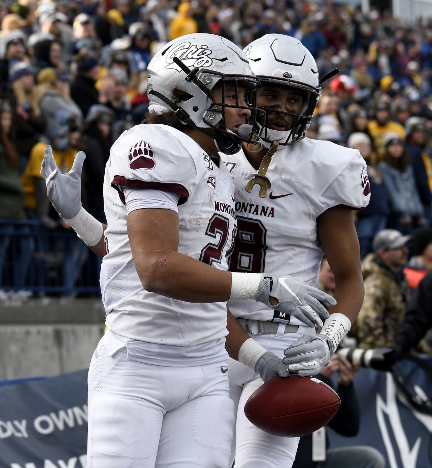 Griz Cat 2019 04.JPG